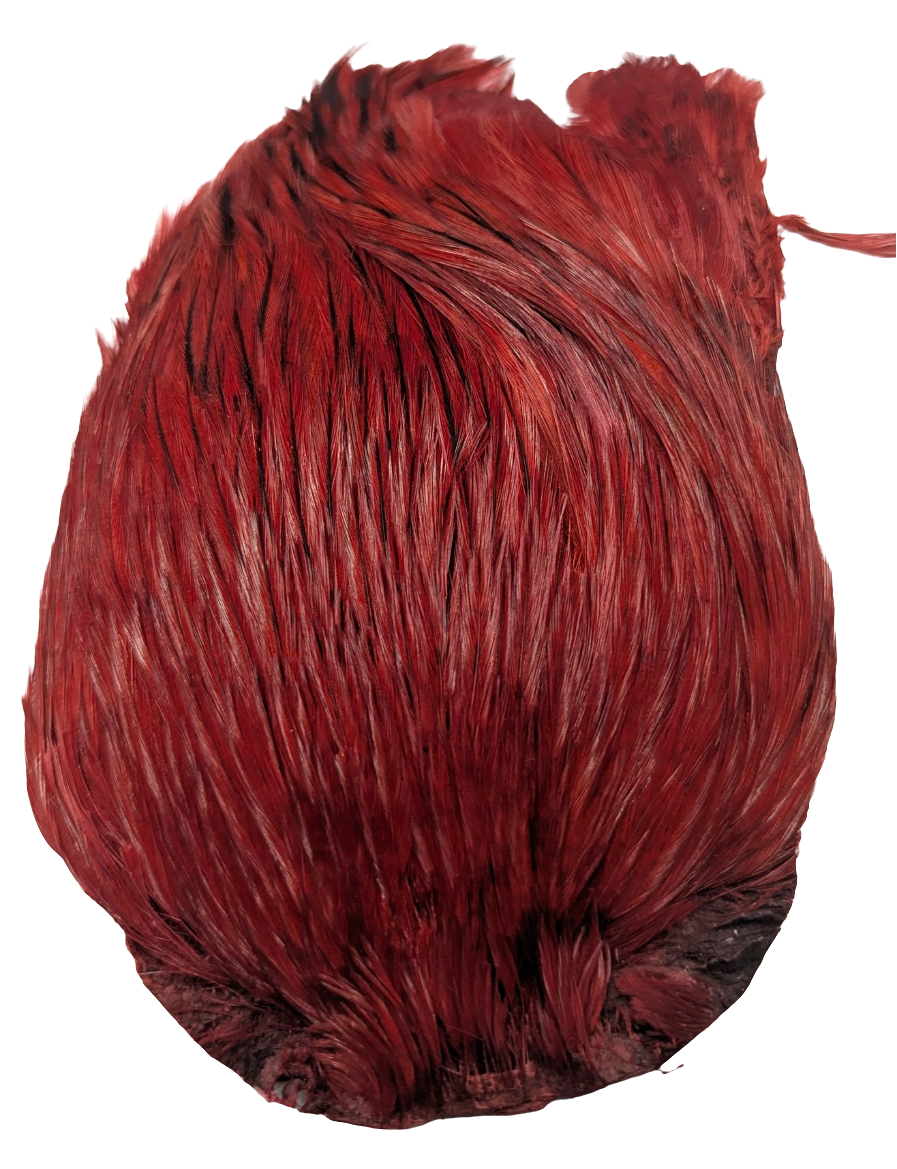 Indian Cock Capes Dyed