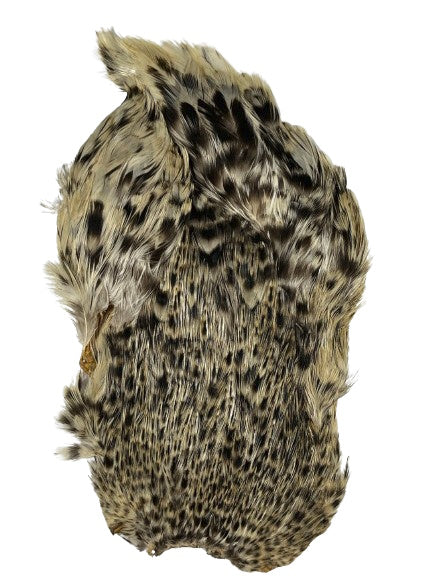 Set Of 2 Indian Hen Capes