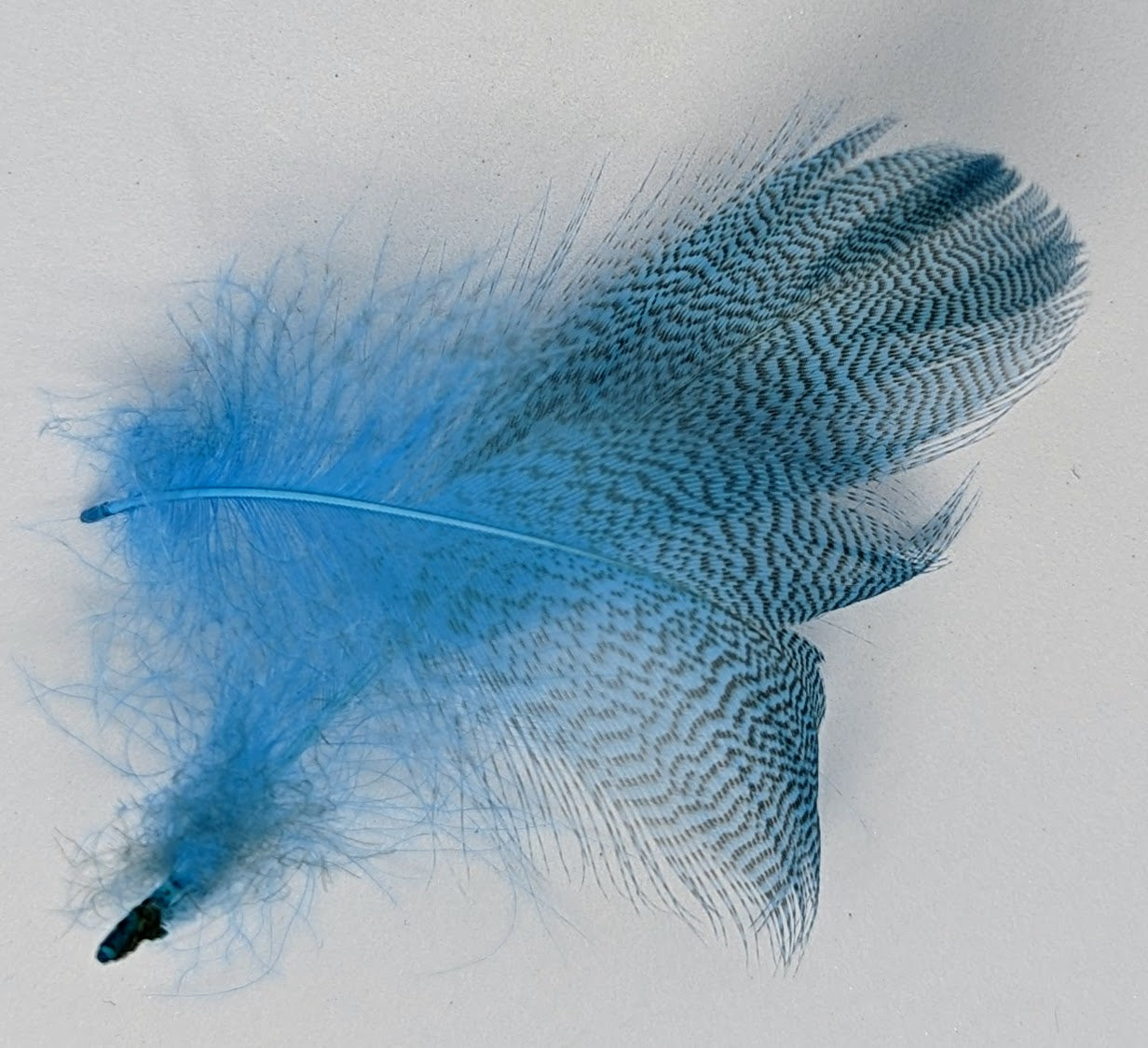 Mixed Grey Drake Feathers