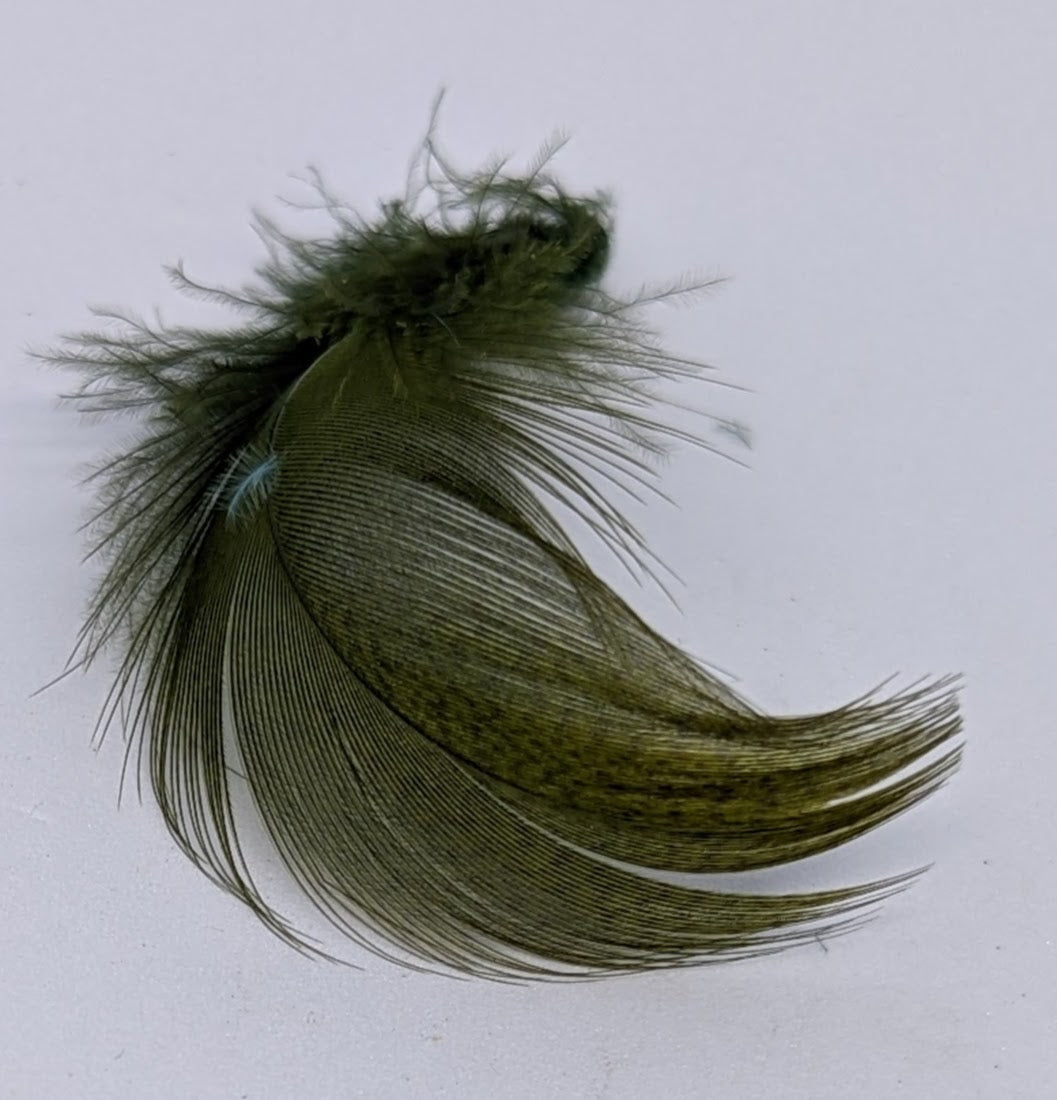 Mixed Grey Drake Feathers