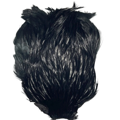 indian cock cape black
