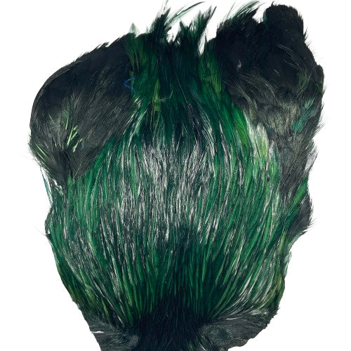 indian cock cape olive