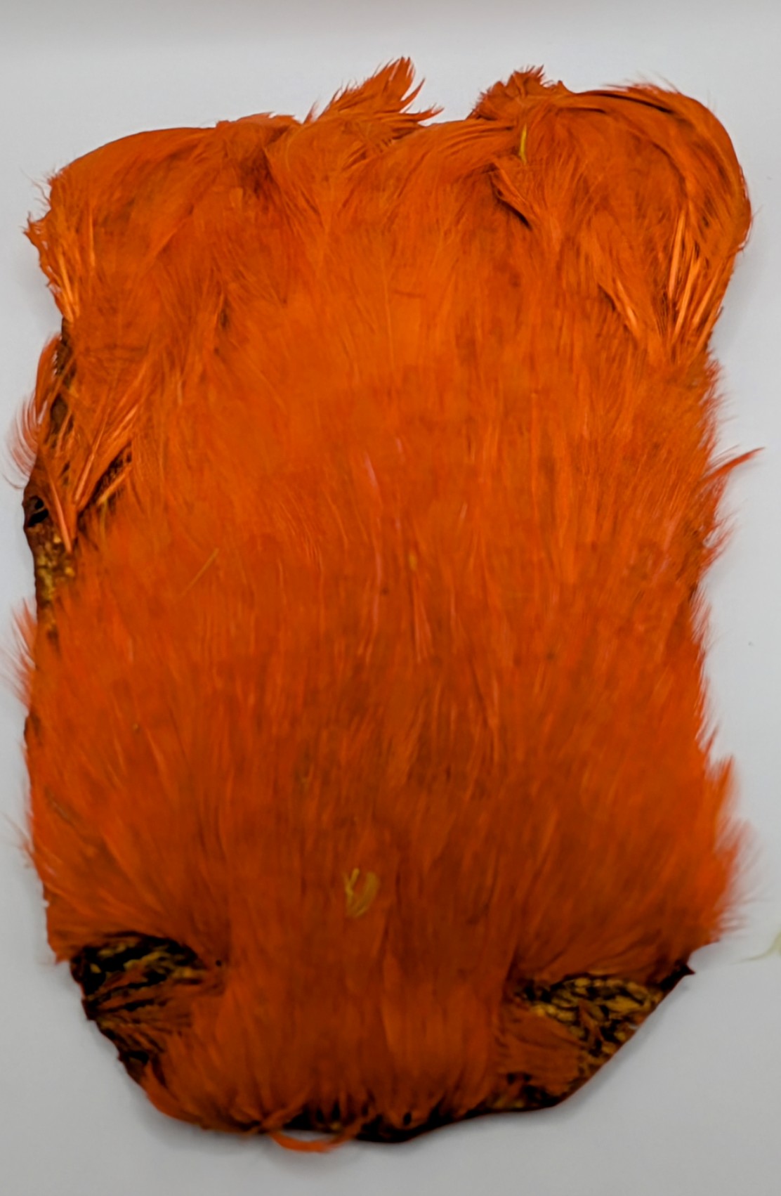 Indian Hen Capes Dyed Set of 5