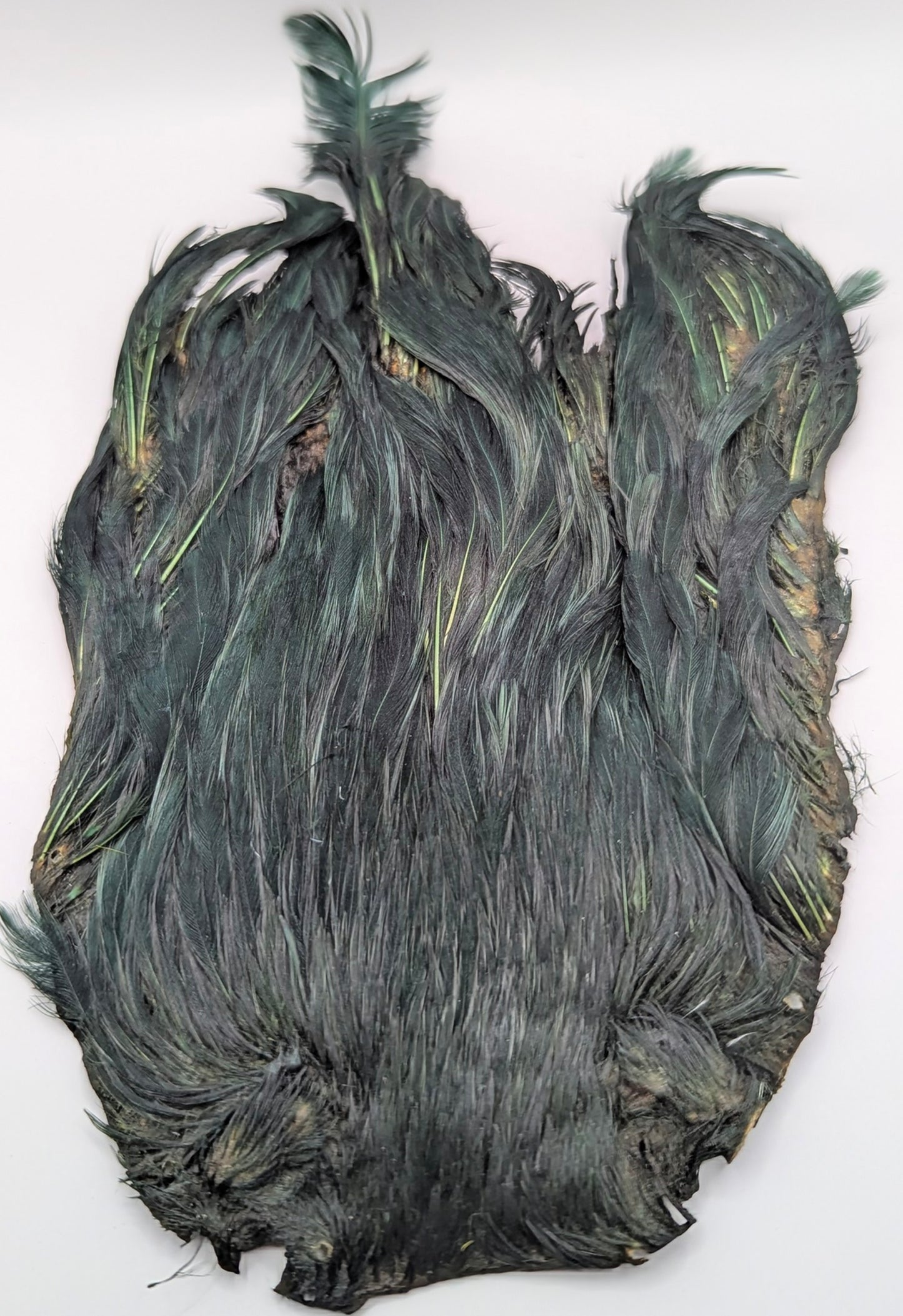 Indian Hen Capes Dyed Set of 5