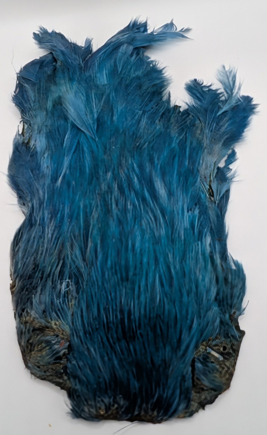 Indian Hen Capes Dyed Set of 5