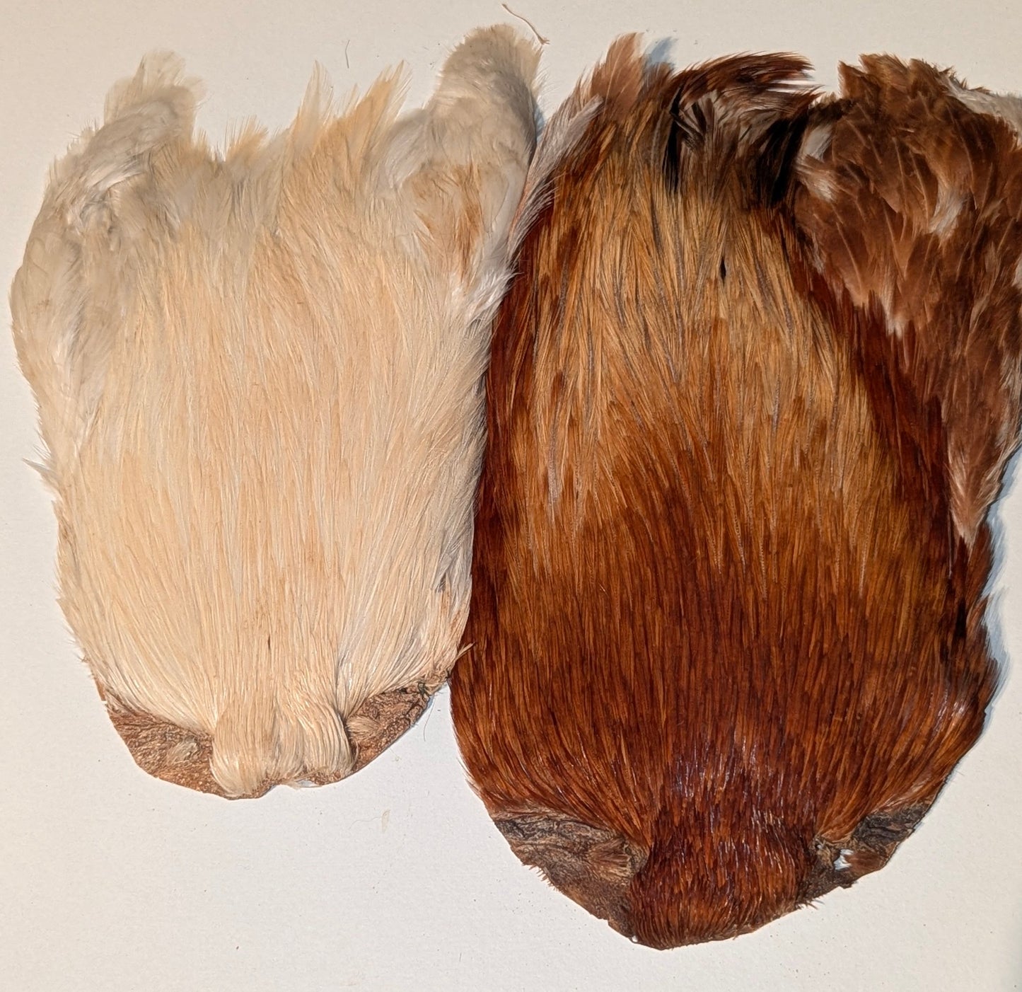 Set Of 2 Indian Cock Capes