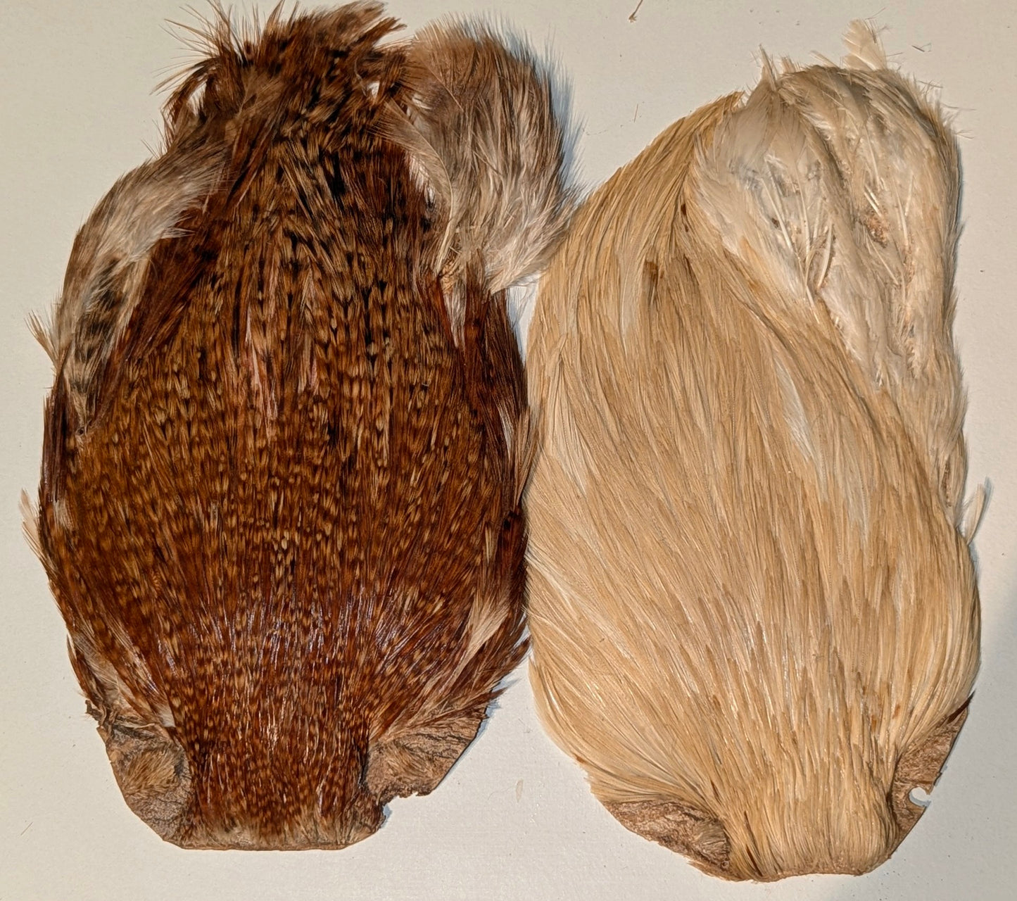 Set Of 2 Indian Cock Capes