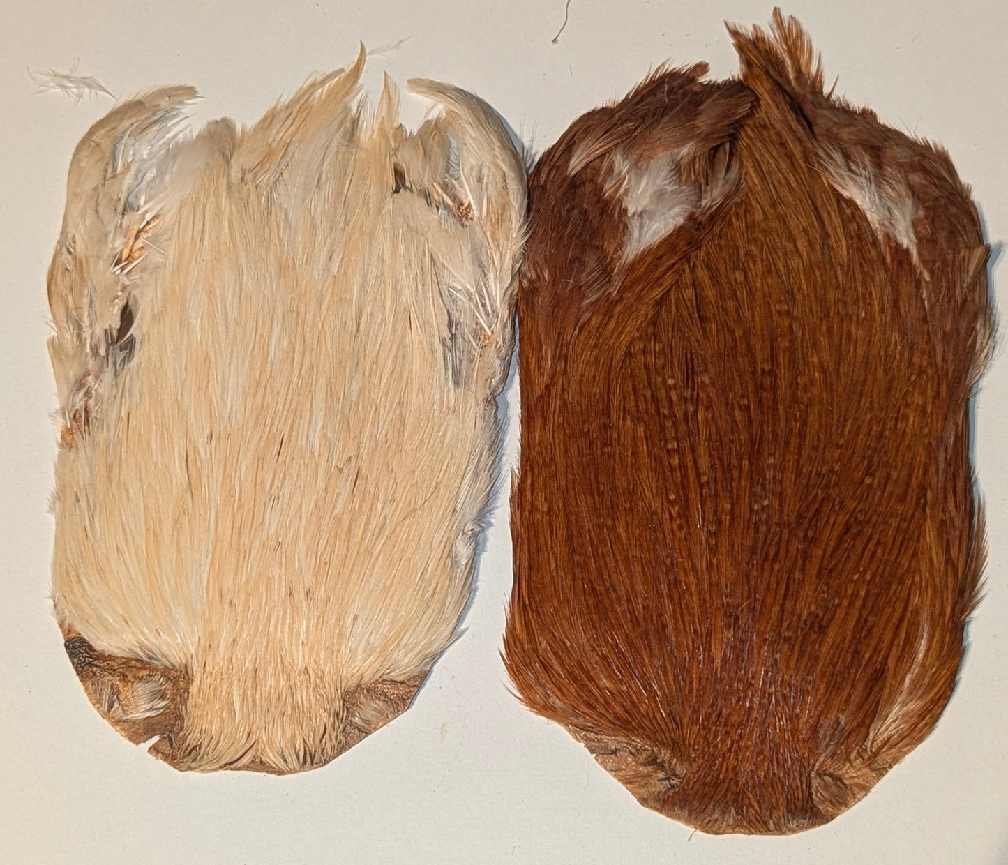 Set Of 2 Indian Cock Capes