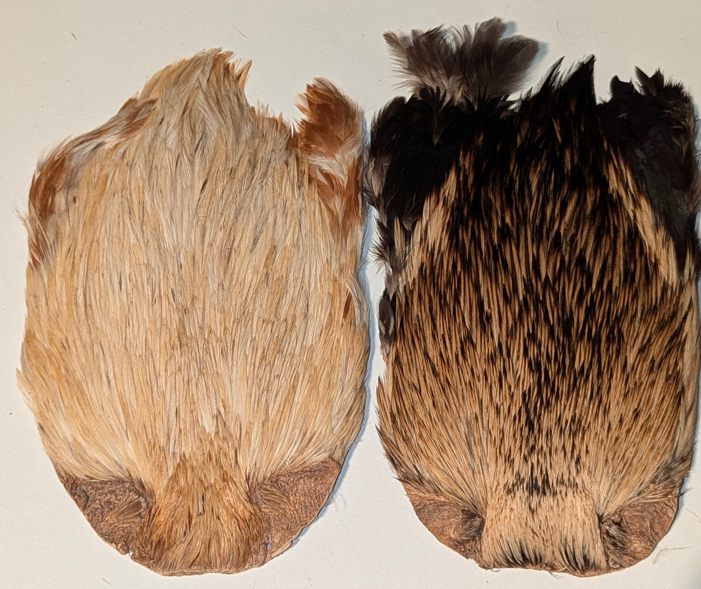 Set Of 2 Indian Cock Capes