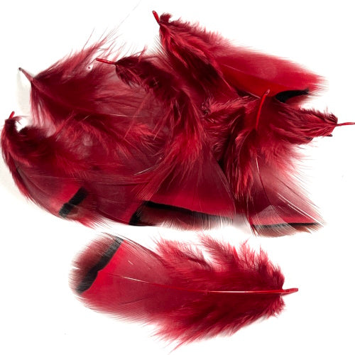 red french partridge fly tying feathers