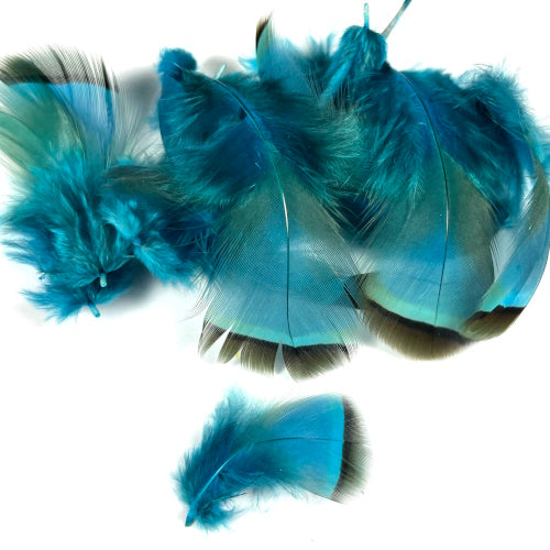 blue french partridge fly tying feathers