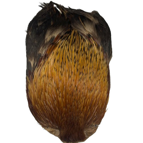 indian cock cape