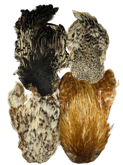 Set Of 4 Indian Hen Capes