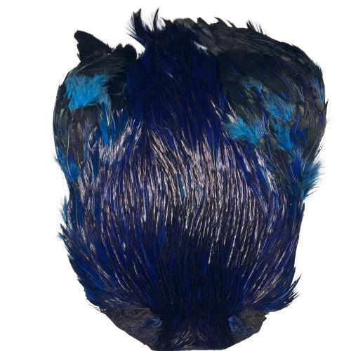 indian cock cape blue