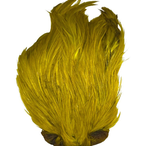 indian cock cape yellow