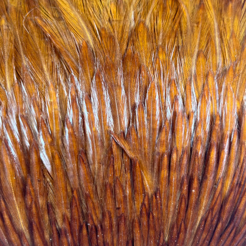 natural brown cock cape hackles