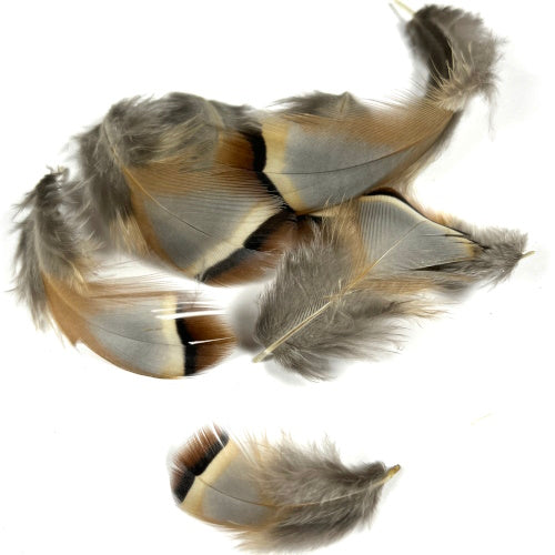 natural french partridge fly tying feathers
