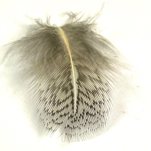 natural prtridge fly tying feathers
