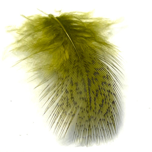 olive partridge fly tying feathers
