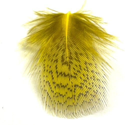 yellow partridge fly tying feathers