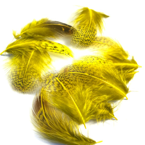 partridge fly tying feathers dyed yellow