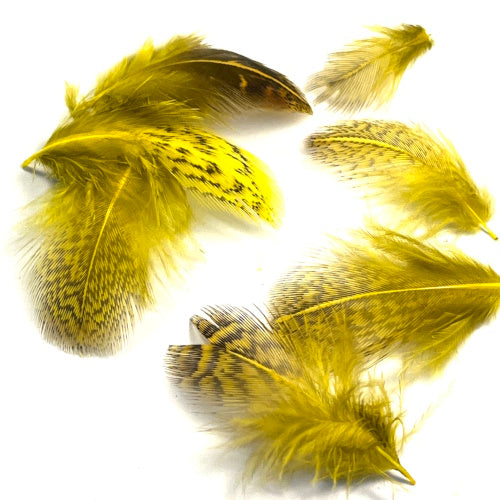 yellow partridge feathers for fly tying