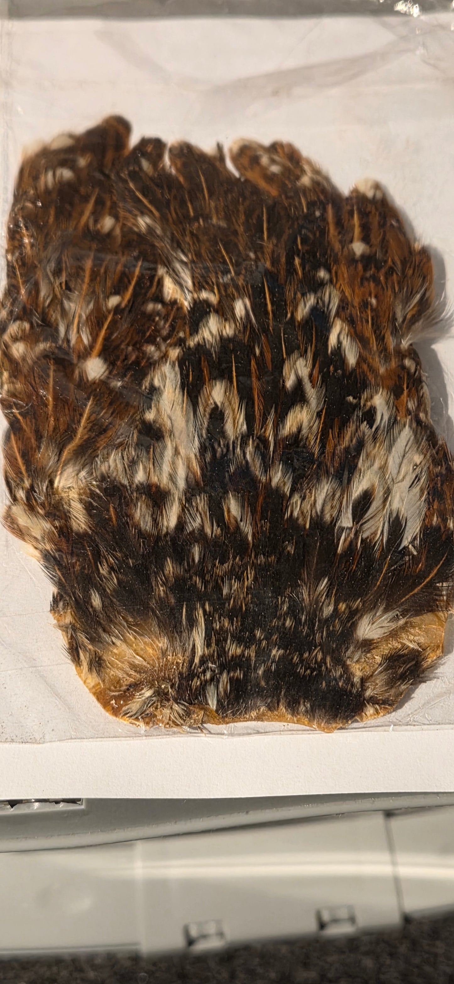 Indian Hen Natural Capes