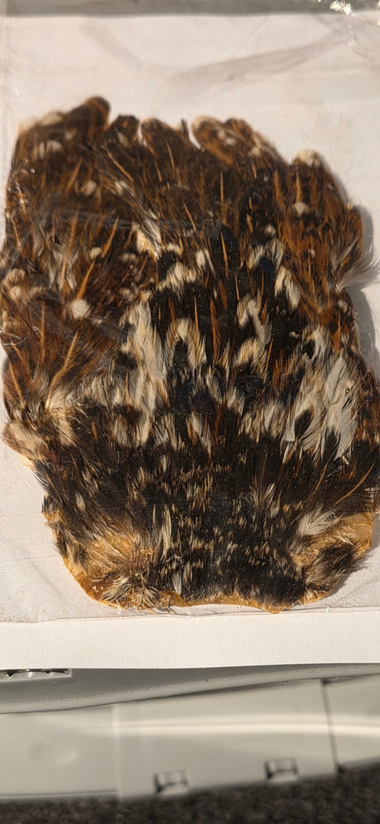 Indian Hen Natural Capes